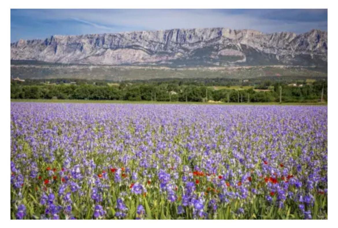 Aix-En-Provence, Cosy Studio Proche Toutes Commodites, Linges Fournis Exterior foto